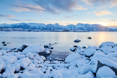 Hjertvika-Vinter