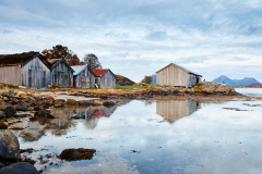 Eikremsnausta