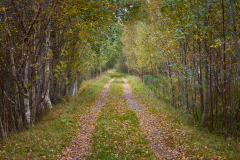 Haustvegen