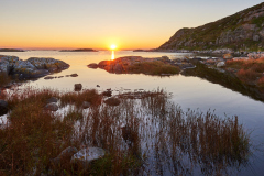 Lyngværet