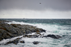 Ruskever - Hauststorm - Rindarøya