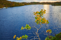 Smågevatnet