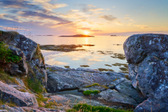 Rindarøya: Mellom steinene