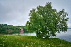 Eikrem - Sommarregn