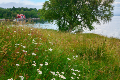 Eikrem - Sommer