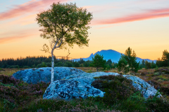 Haust Bjørka - Emmershaugen