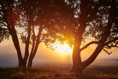 Horrem - Tåke - Soloppgang