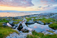 Rindarøya - Drivved