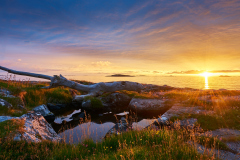 Rinarøya - Solnedgang - Drivved