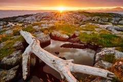 Rindarøya -Soloppgang