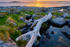 Rindarøya - Drived i solnedgang