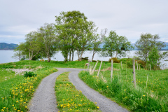 Eikrem - Sommargrønnt