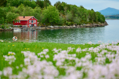 Eikrem - Sommargrønnt