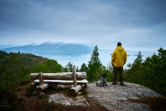 Svartnakken - Julsundet