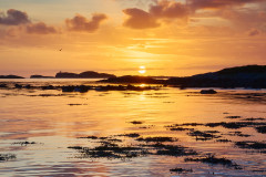 Bytingsvika - Solnedgang