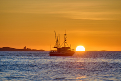 Rindarøya - Sjark i solnedgang
