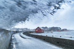 Ruskevær ved Moloen  - Rindarøya -4