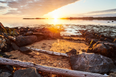 Rød  - Naustberget -1