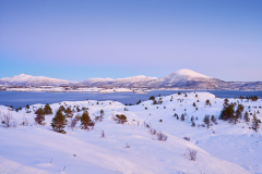 Ørnehaugen - Vinterlandskap Ørnehaugen - Vinterlandskap
