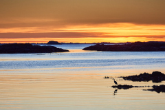 Rindarøya - Hegre Rindarøya - Hegre