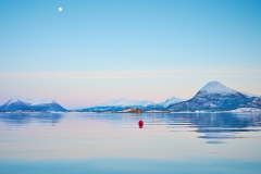 Boktinj - Februarlyset