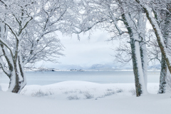 Vinterlandskap - Eikrem - 10