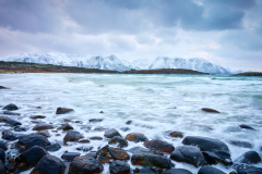 Hjertvika - Ruskever