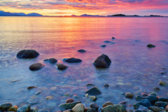 Horremsleira - Novemberlyset Horremsleira - Novemberlyset