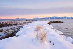 Løvika - Vinter Løvika - Vinter