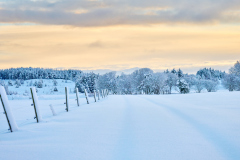 Vintervegen - Løvika