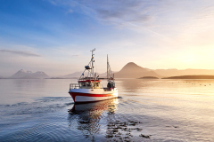 Morgen i Boktinj- Fisker Morgen i Boktinj- Fisker