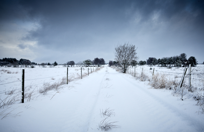 Vegen i Oterhalsen - vinter