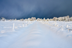 Vegen i Oterhalsen - Vinter