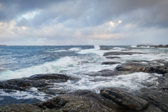 Rindarøya - Ruskever