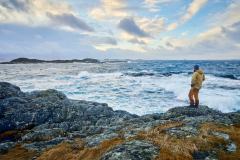 Rindarøya - Ruskever Rindarøya - Ruskever