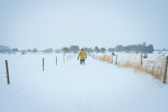 Vintervegen Vintervegen