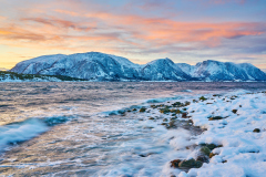 Tangen: Vinter i fjørå