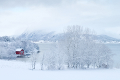 Vinterlandskap - Eikrem - 13