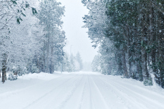 Vinterveien - Breivik