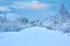 Vintervegen - Hauglandet