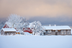 Løvikremma - Vinter