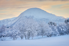Utsikt fra Løvika - Jendemsfjellet i vinterdrakt