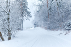 Vinterveien - Tangen