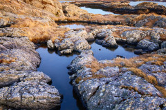 Buholmen - Vinterlyset