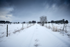 Vegen i Oterhalsen - vinter