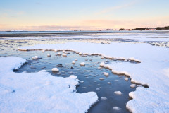 Røaleira Winter