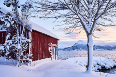 Vinter i Boktinj