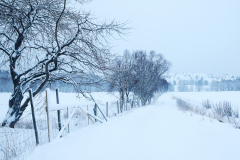 Vinter på Eikrem