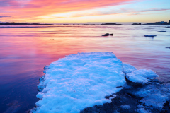 Røaleira - is i solnedgang