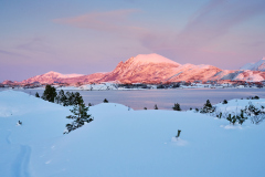 Vinterlandskap ved Ørnehaugen - Gossen